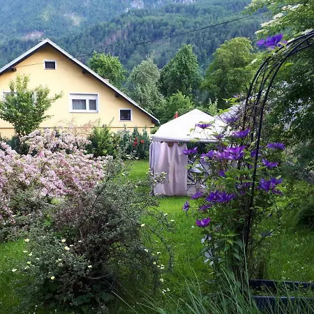 Apartma Lina *